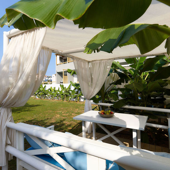 Shaded garden cabana with white curtains, tropical plants and lounge seating